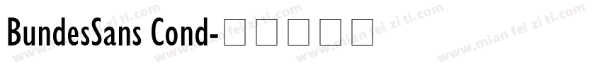 BundesSans Cond字体转换